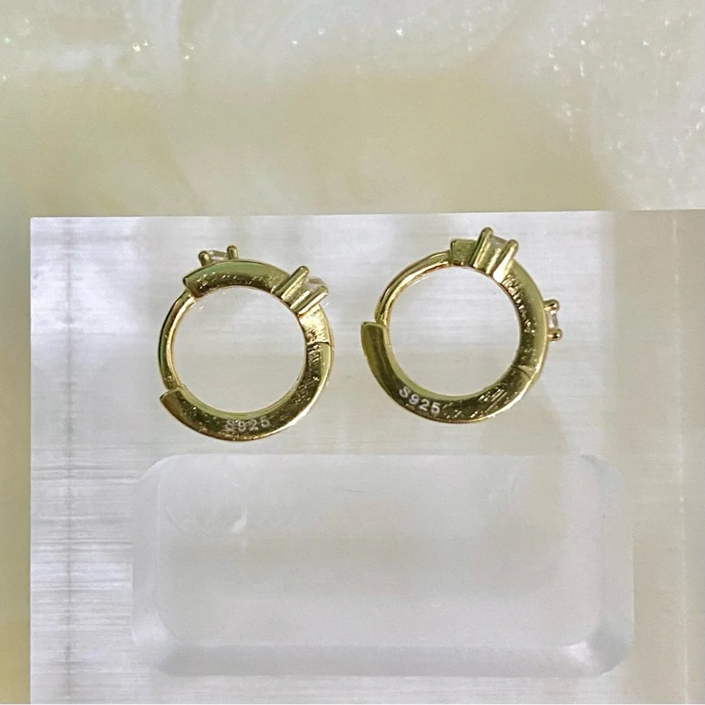 Elegant Gold Hoop Earrings